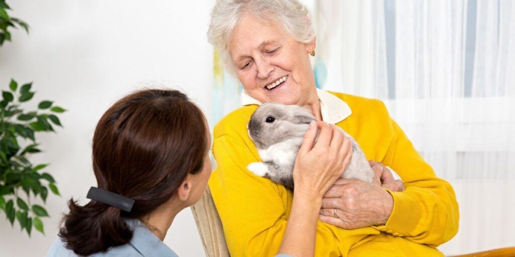 Are Pets a Good Companion Option for Seniors