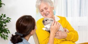 Are Pets a Good Companion Option for Seniors
